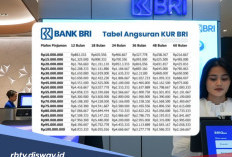 KUR BRI untuk PNS, Bisa Pinjam Rp 100 Juta, Ada Pinjaman di Bank Lain Bisa Pinjam?