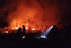 Lahan di Samping Kantor Kecamatan Tetap Kabupaten Kaur Terbakar