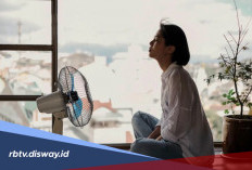 Jangan Salah Memahami, Ini Perbedaan Cuaca Panas dan Gelombang Panas yang Bikin Dunia Geger