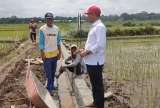 Jemput Bola ke Kementan RI, Bupati Seluma Boyong Bantuan Irigasi Rp7,8 Miliar