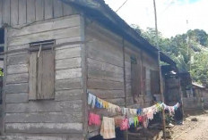 Pemprov Bengkulu Usulkan 23.784 Unit Rumah ke Kementerian Perkim untuk Dibedah