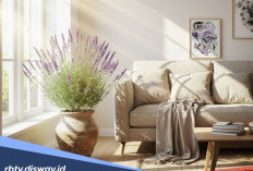 Ide Tanaman Hias untuk Dekorasi Rumah di Hari Lebaran