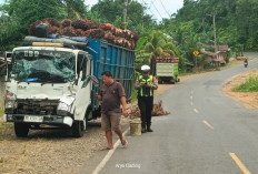 Efek Jalan Rusak, Dua Sopir Truk Sawit Asal Padang Guci Terlibat Tabrakan di Seluma