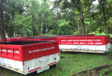 Dapat Bantuan Bak Kontainer Sampah dari Pemprov Bengkulu, Pemkot Rancang Penempatannya di Lokasi Ini