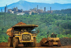 Sulawesi Tengah Jadi Penyimpan Harta Karun Nikel Terbesar di Indonesia, Ini Lokasinya 