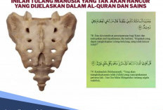 Kebenaran Ayat Al Quran, Tulang Ekor Manusia hanya Bisa Tumbuh Kembali Setelah Hari Kiamat