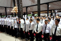 Segini Rincian Gaji PPPK Paruh Waktu Seluruh Indonesia, Cek Daerahmu, Andaikan Pemda Menerapkan UMP