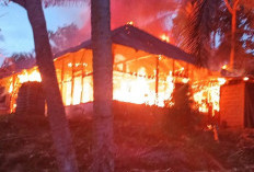 Ini Dugaan Penyebab Kebakaran di Desa Suka Rami Bengkulu Utara