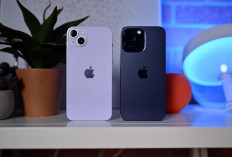 iPhone 14 Plus vs iPhone 14 Pro, Simak Perbandingan Spesifikasi dan Harga Terbarunya