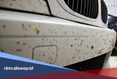 Cara Mudah Membersihkan Noda Aspal yang Menempel di Bodi Mobil