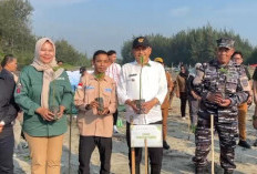200 Bibit Pohon Mangrove Ditanam di Pesisir Pantai Pekik Nyaring