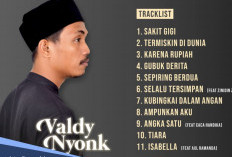 Tidak hanya 'Sa Tinggal Pantau' Ini Deretan Lagu yang Viral Dibawakan Valdy Nyonk