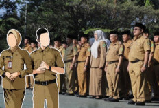 Ada Formasi CPNS 2026 untuk Lulusan SMA/SMK?