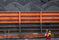 Melihat Harta Karun Melimpah di Kalimantan Tengah, Ini Lokasinya