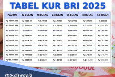 Cek di Sini Angsuran Pinjaman KUR BRI Plafon Rp 1 Sampai Rp 100 Juta