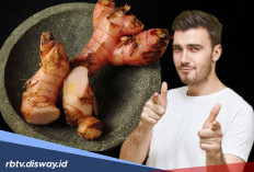 5 Manfaat Lengkuas untuk Kesehatan, Bisa Meningkatkan Kualitas Kesuburan Pria