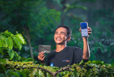 Dukung Ketahanan Pangan Nasional, April 2026 BRI Salurkan KUR Rp65,95 T ke 558 Ribu Petani dan 23 Ribu Nelayan