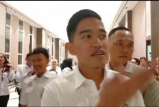 Datang ke Rakorwil PSI Bengkulu, Kaesang Dorong Kemajuan PSI Bengkulu 
