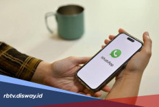 Foto-Video WhatsApp Bikin Memori HP Penuh? Coba Cara Ini untuk Membersihkannya 
