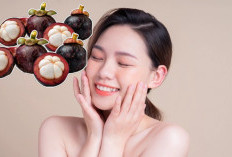 Tak Banyak Orang Tahu, Ini Beragam Manfaat Manggis untuk Kesehatan dan Kecantikan