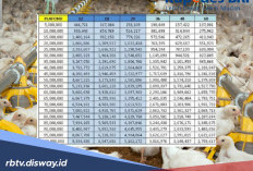 Sedikit yang Tahu, Tabel Kupedes BRI Pinjaman Rp 100 Juta Berapa Bunga Pinjamannya?