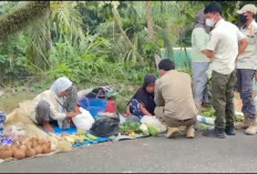 Satpol PP Seluma Tertibkan Pedagang Kaki Lima di Kawasan Alun-Alun Tais