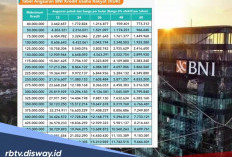 Tabel KUR BNI Pinjaman Rp 50 Juta Periode April 2026 dan Penyebab Pengajuan KUR Ditolak