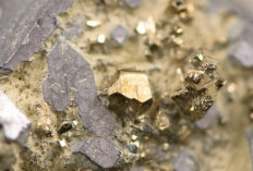 Fantastic, Gold Reserves in North Tapanuli Are Second Largest in Indonesia