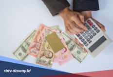 Pinjam Rp 3 Juta di Pinjol PinjamanGo Berapa Angsurannya? Cek di Sini
