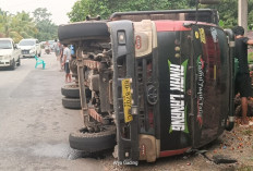 Jalan Amblas, Truk Muatan 10 Ton Kelapa Sawit Terguling di Seluma