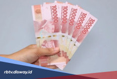 Raup Cuan Tiap Hari dari Aplikasi Ini, Saldo DANA Bertambah Tanpa Modal
