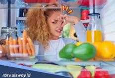 5 Penyebab Kulkas Mengeluarkan Bau Tak Sedap dan Cara Ampuh Mengatasinya