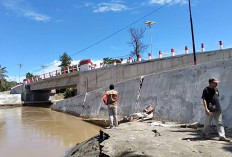 Viral Jembatan Martan Pesisir Seluma Ambrol, Pemprov Bengkulu Cek Kondisi Jembatan