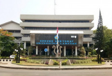 Rata-rata Nilai Rapor SNBP Unila 2026 Setiap Program Studi