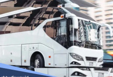 Mudik Sumatera-Jawa Nyaman Bersama Bus Sadya Trans, Ini Daftar Harga Tiketnya untuk Lebaran