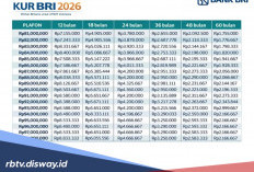 Angsuran Pinjaman KUR BRI Mei 2026 Rp 80 Juta, Bisakah Pinjam Tanpa NPWP?