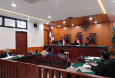 Sidang Dugaan Kejahatan Kehutanan di Mukomuko Masuk Tahap Pembuktian, Jaksa Hadirkan Saksi KPHP dan Gakkum