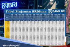 Proses Pengajuan Ketika PPPK Mengajukan Pinjaman BRIguna Karya