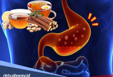 4 Obat Herbal Ampuh Atasi GERD, Solusi Alami Selain Dokter