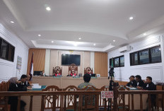 Garap Dua Hektare Lahan di TWA Sebelat, Warga Bengkulu Utara Disidang