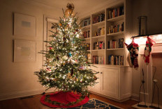 Christmas Is Coming, Here Are 10 Tips for Decorating a Beautiful Christmas Tree