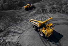 Harta Karun Emas Hitam di Kalimantan Selatan, Diekspor ke Jepang hingga AS