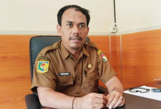 BKN Buka Layanan Usul Pemberhentian ASN dan PPPK Mulai 1 Agustus 2026, BKPSDM Mukomuko: Bukan PHK Massal