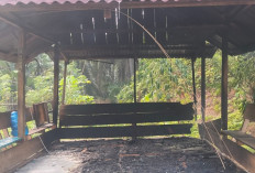 Dua Pondok Antrean DO Sawit di Seluma Terbakar, Polisi Lakukan Penyelidikan