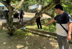 Remaja Asal Desa Pelajau Bengkulu Tengah Ditikam Teman