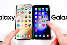 Samsung Galaxy S23 vs Samsung Galaxy S24, Mana yang Lebih Kamu Sukai?   
