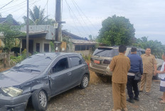Avanza vs Brio Beradu Kambing di Depan Pabrik CPO Tumbuan Seluma 