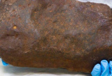 Some Stones Actually Contain Gold, Here Are the Characteristics