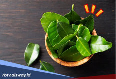 6 Manfaat Daun Jeruk Nipis untuk Kesehatan, Nomor 6 Belum Banyak yang Tahu