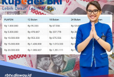 Perbedaan Kupedes dan KUR BRI, Ini Syarat yang Dibutuhkan